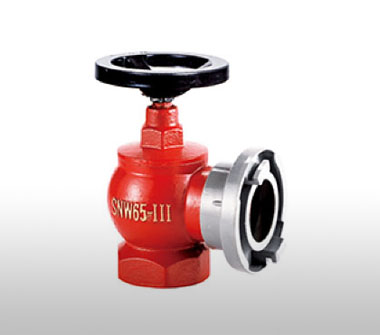 SNW65-III減壓穩(wěn)壓型