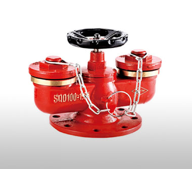 SQD100-1.6A多用式消防水泵接合器